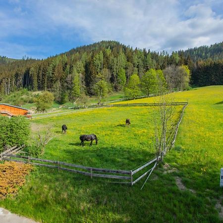 Huberhof 8 By Alpenidyll Apartments Schladming Bagian luar foto